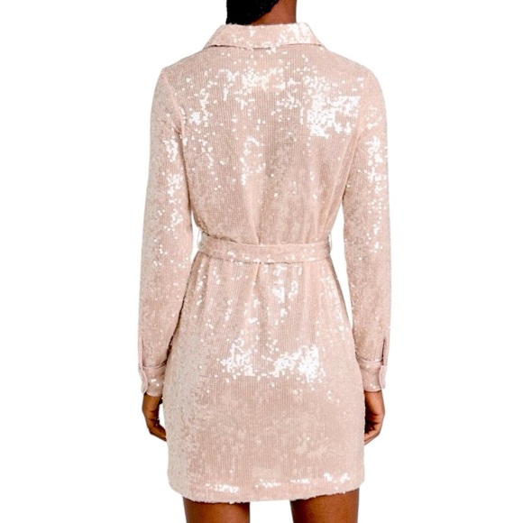 Le Superbe Inner Glow Nude Shine Shirt Dress Perfect Seqin Dress, MSRP $600 NWT - Picture 4 of 9